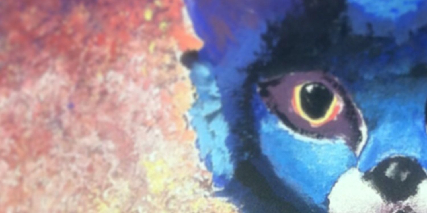 Alexis Tohalino banner