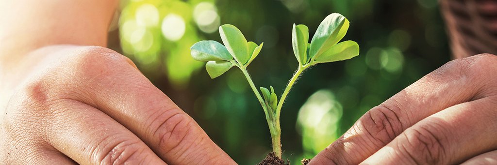 hevertstiftung's profile banner image