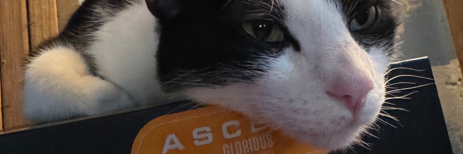 poopparadee's profile banner image