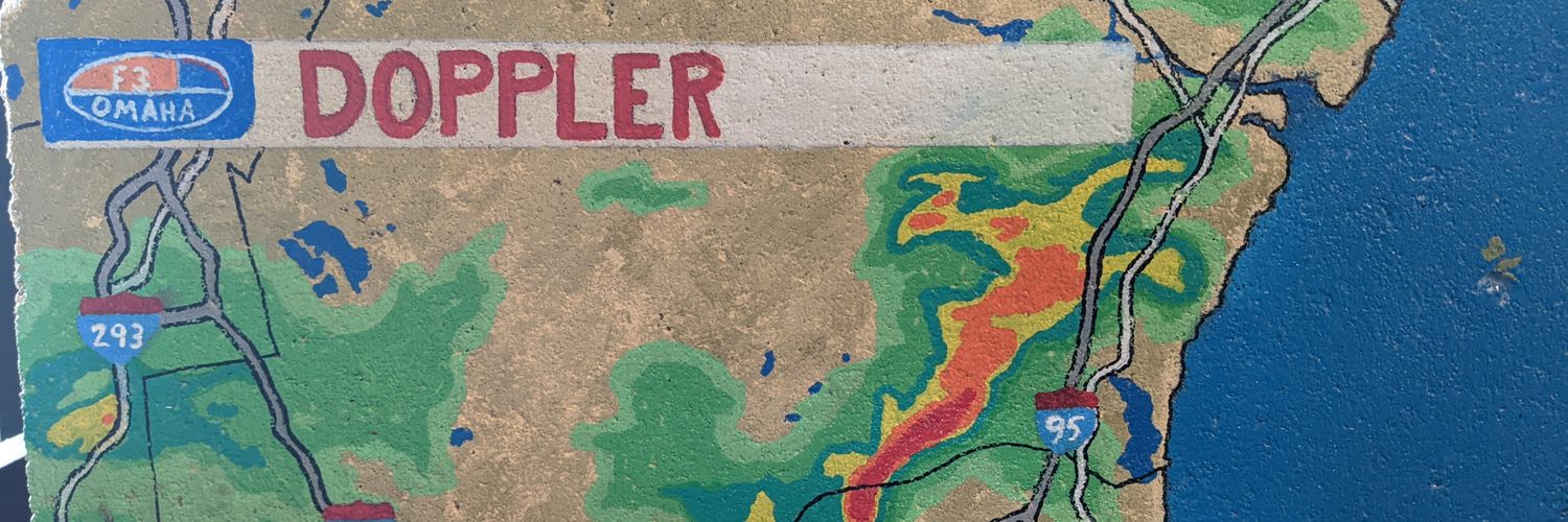 Bryan Johnson banner