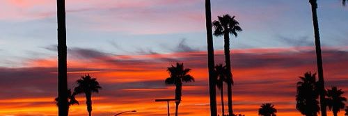 ale_artca's profile banner image