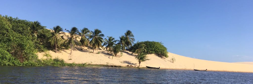 marcobrocolis's profile banner image