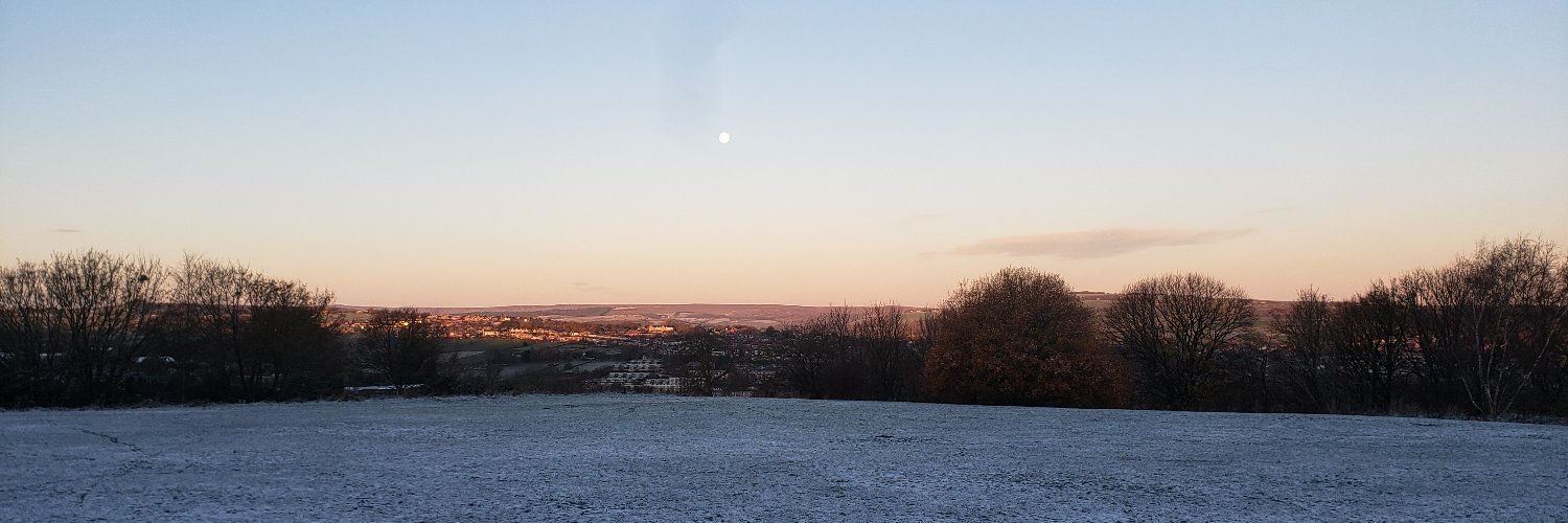 Dr Abbi Flint banner