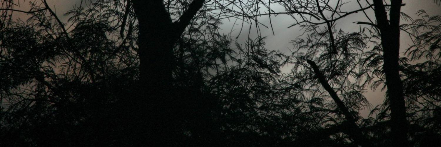 FDarien's profile banner image