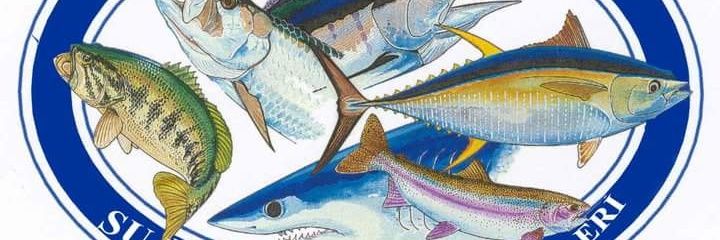 aquaticmean's profile banner image