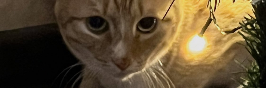 mrcrabphantom's profile banner image