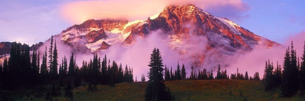 Beverly Rider banner