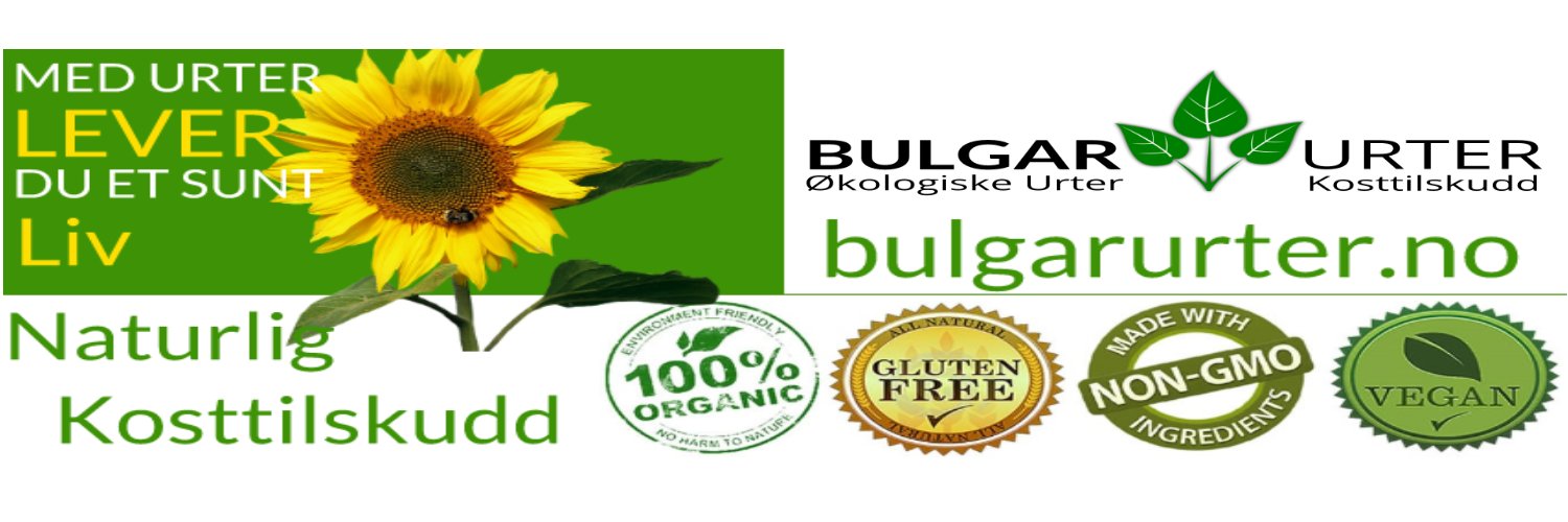 bulgarurter's profile banner image