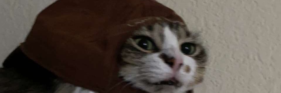 JakeFish5's profile banner image