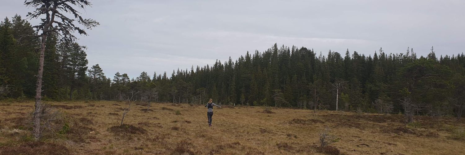 Stefania Gardarsdottir banner