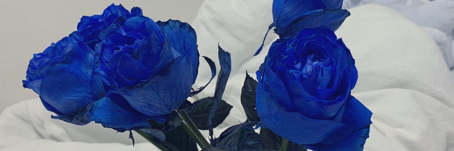 十厭厽 医￤霙海牛💉ご依頼停止中 banner