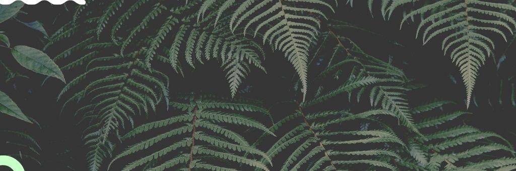 Nancy_Efia's profile banner image