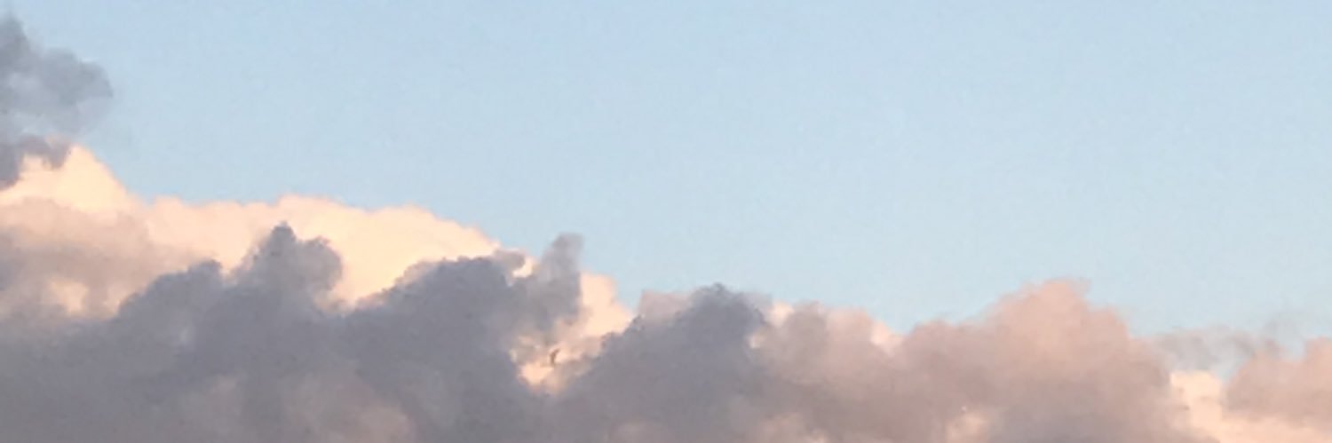niniisoph's profile banner image