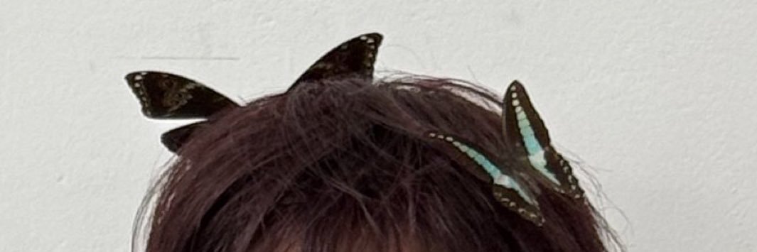 🥕 banner