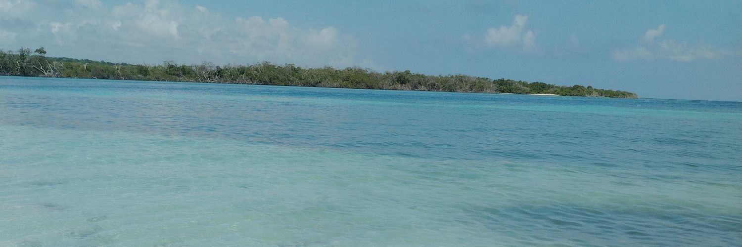 AriiannaC's profile banner image