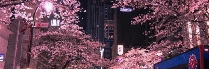 Kat 🐈‍⬛ banner