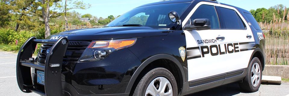 Sandwich Police banner