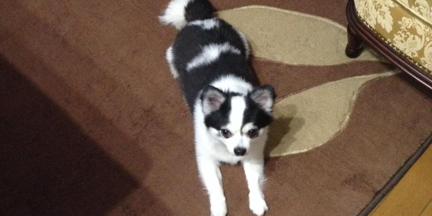 218_taka's profile banner image