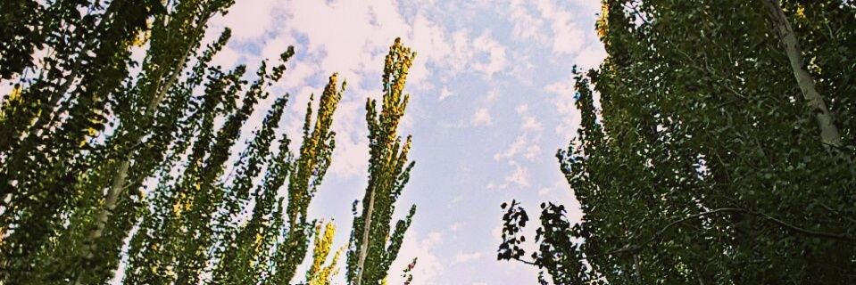 قاصد banner
