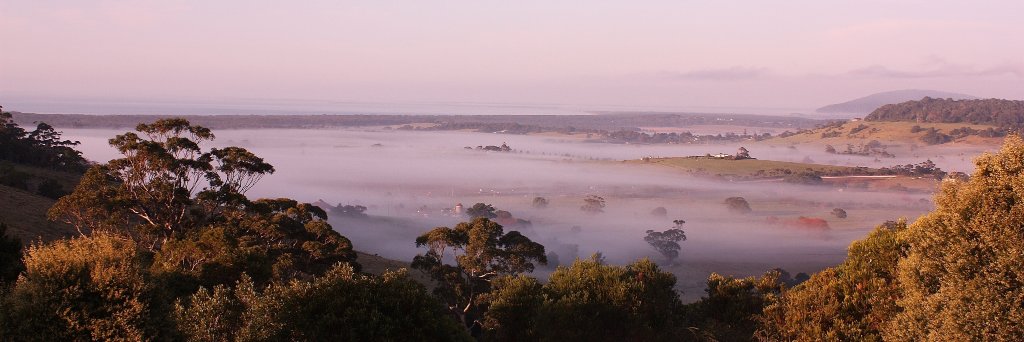 AnneWhatman's profile banner image