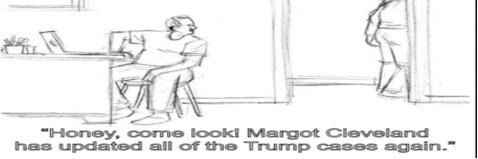Margot Cleveland's banner