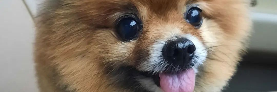 asikaeunike's profile banner image