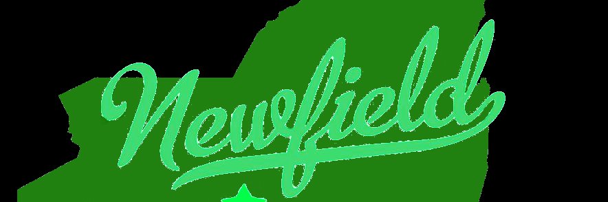 Newfield High School banner