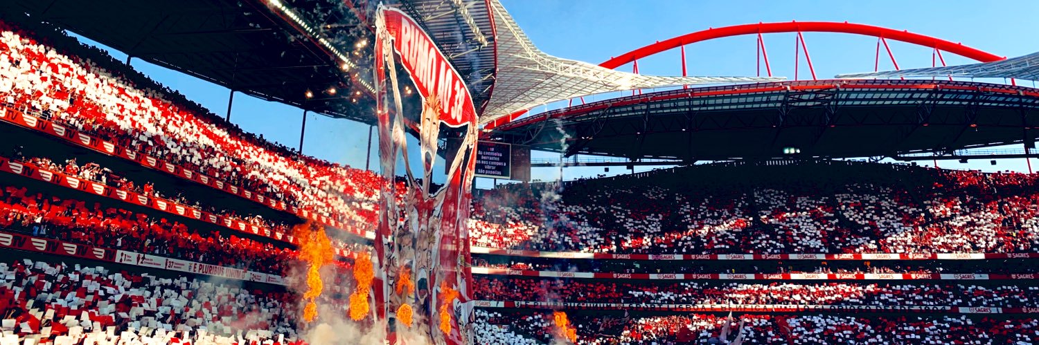 Cátia banner