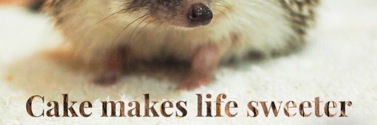 The Hungry Chog banner