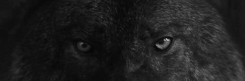 Bad_Barnabas's profile banner image