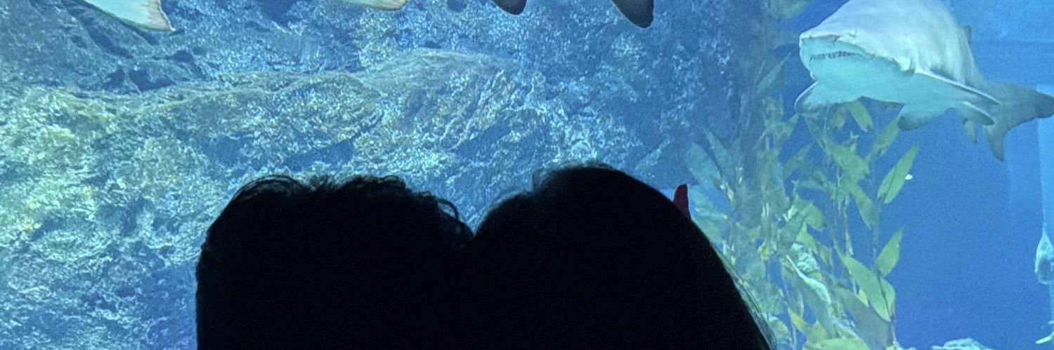 bnbnus's profile banner image