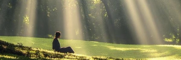 randd55 Profile Banner