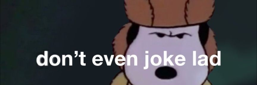 stnfvrtpnk's profile banner image