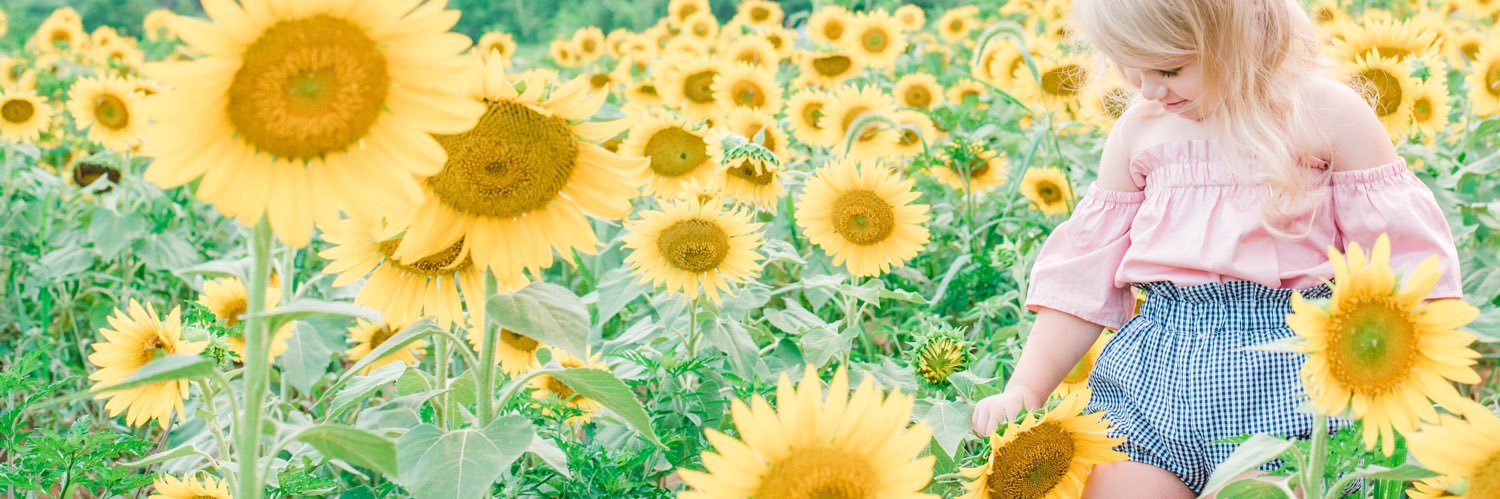 shelbnation's profile banner image