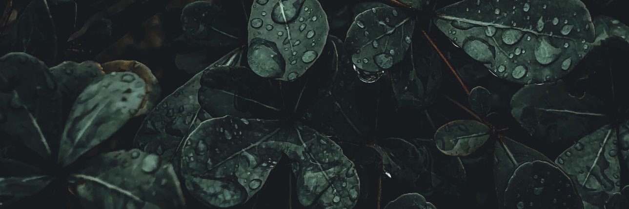 tripgoddd's profile banner image