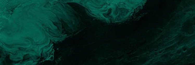 Amirekaa's profile banner image
