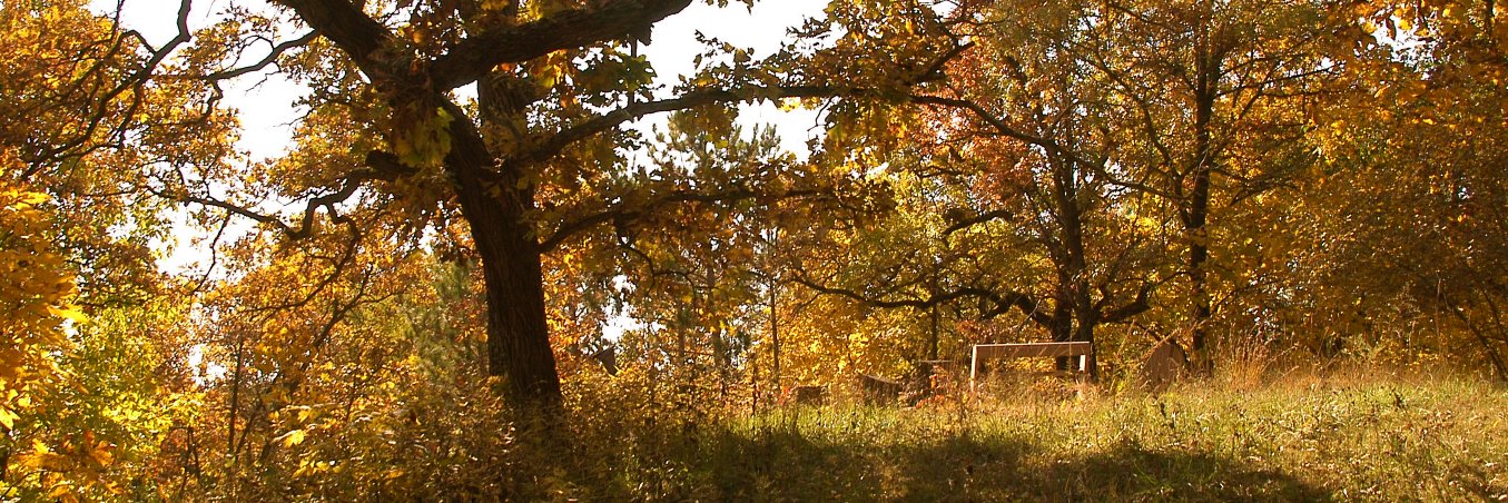 Living Habitats banner