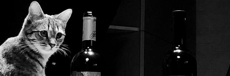 ✴︎ banner