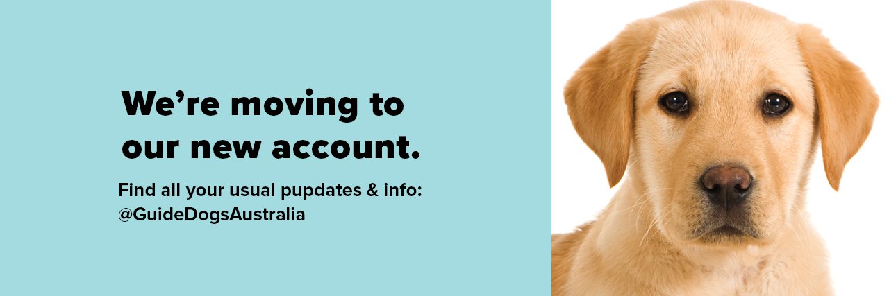GuideDogsQld's profile banner image