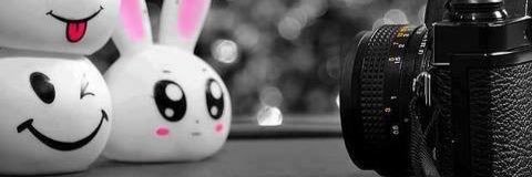ha__msa's profile banner image