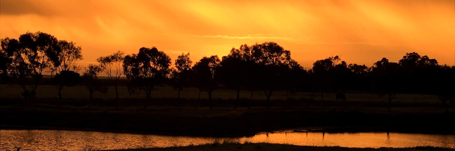 Toby_S11's profile banner image