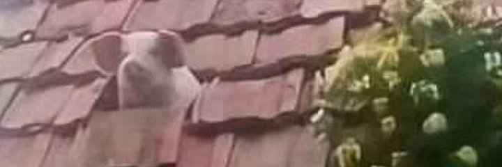 Valeu Ritalina! banner