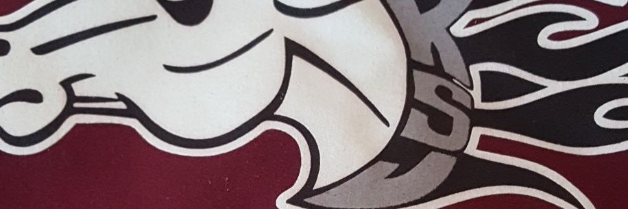 rsjpride's profile banner image