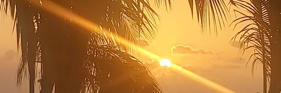 evagurly's profile banner image