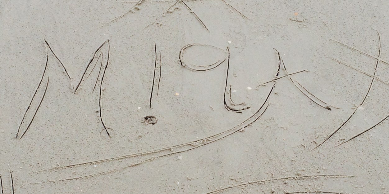 wanmie94's profile banner image