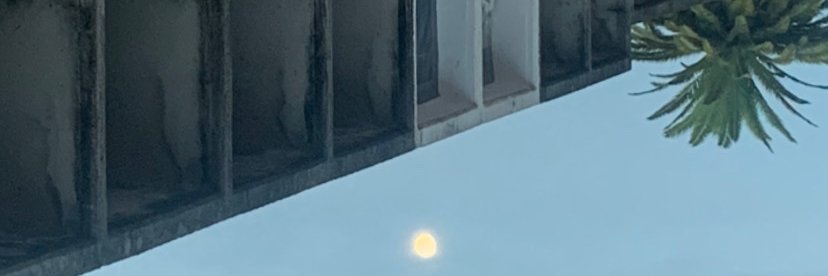 pau ibàñez banner