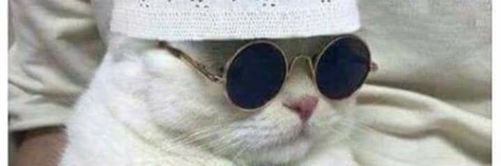 DédicaceASonnper❌ banner
