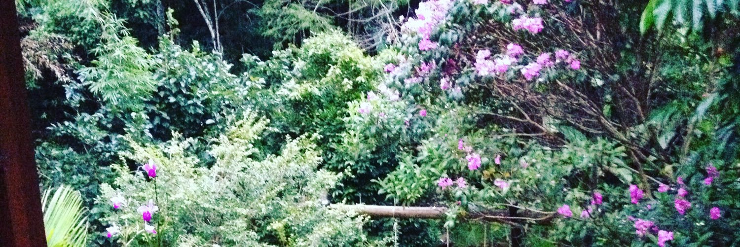 JuRamos97's profile banner image