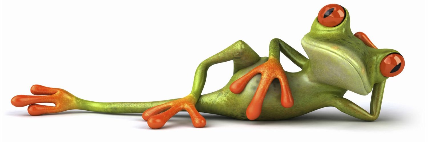 TreeFrogInt's profile banner image