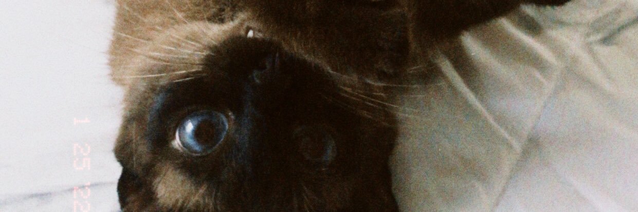 jujubutterflu's profile banner image